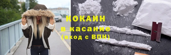 стафф Новокубанск