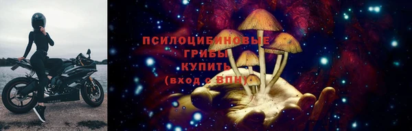 PSILOCYBIN Гусев