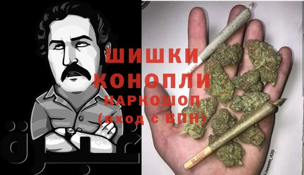 apvp Няндома