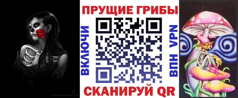 где можно купить   Котовск  Галлюциногенные грибы Psilocybe 